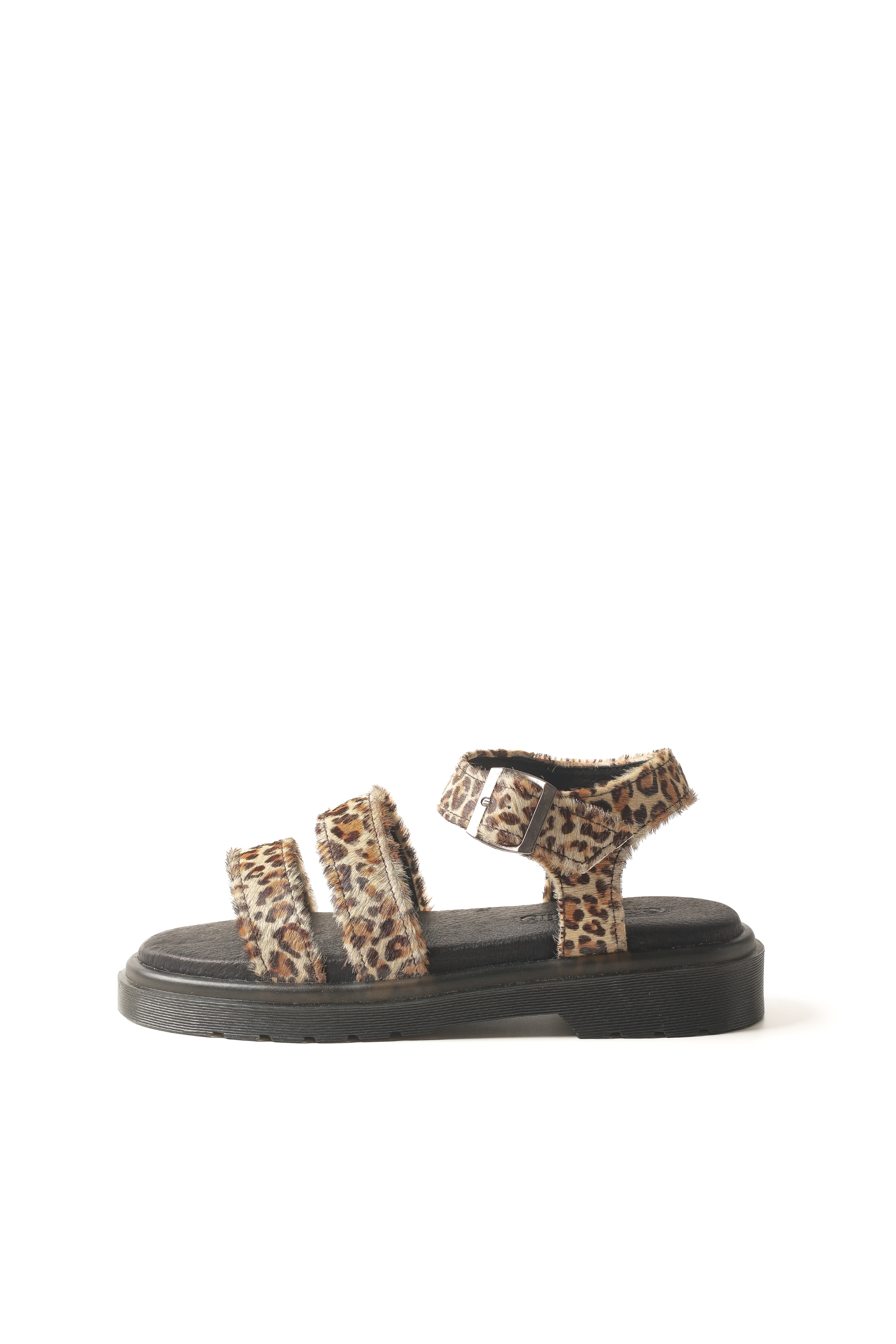 Savana in Cheetah Print